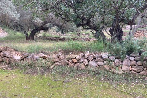 Landejendom i El Perello, Tarragona, El Perello - € 56.000 | Ref: Finca Bitem Joa - foto 17
